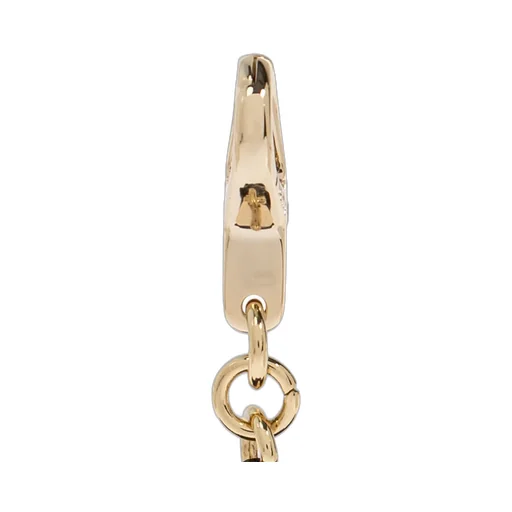 Cat Charm
