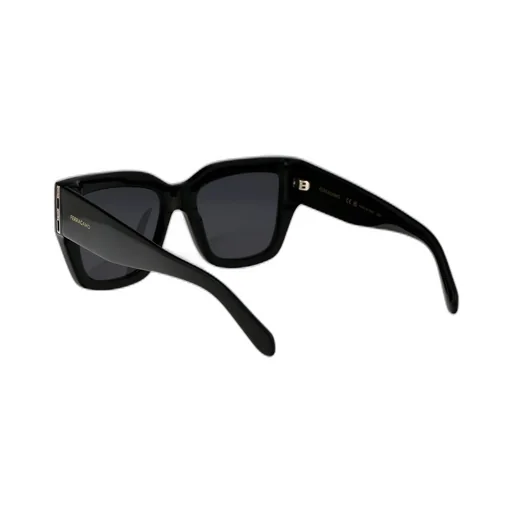 Square Frame Sunglasses