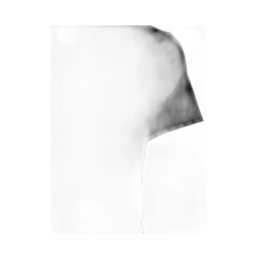 Graphic Print Cropped T-Shirt