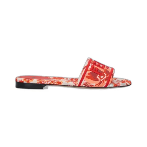 Slides