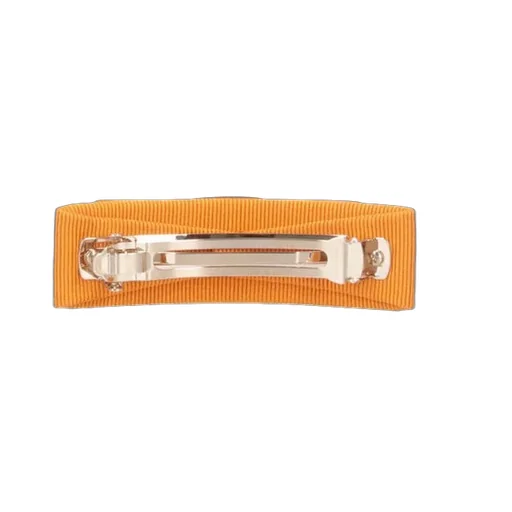 Hair Clip