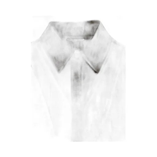 Sheer Ff Motif Shirt