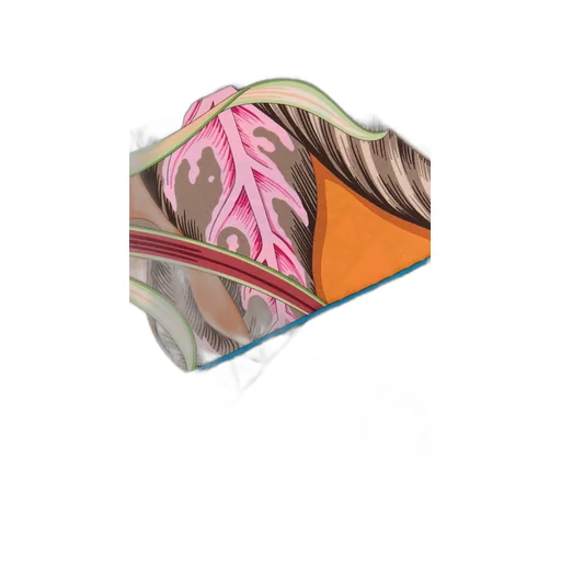 Printed Silk Scarf