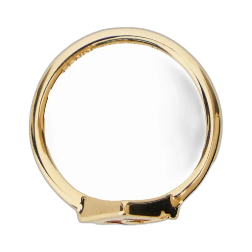 F Is Fendi Ring