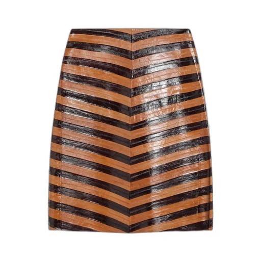 Striped A-Line Skirt