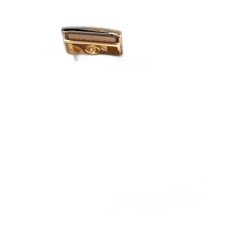 Fendi Roma Bag