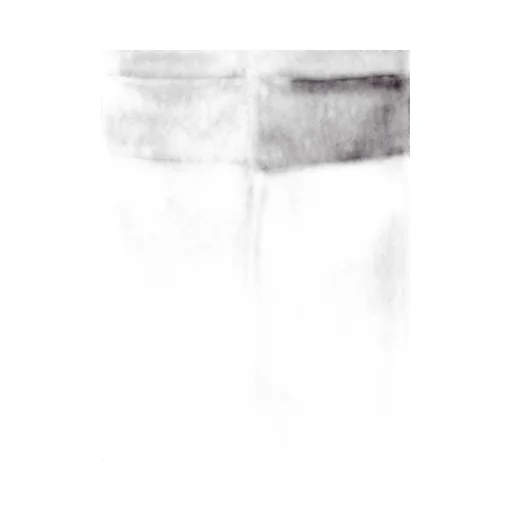 Wide-Leg Trousers