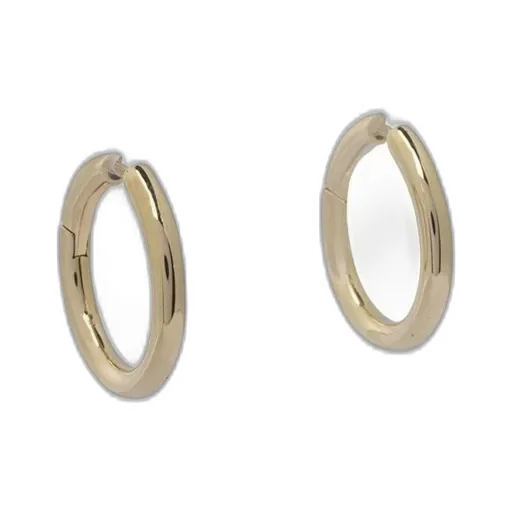 Hoop Earrings