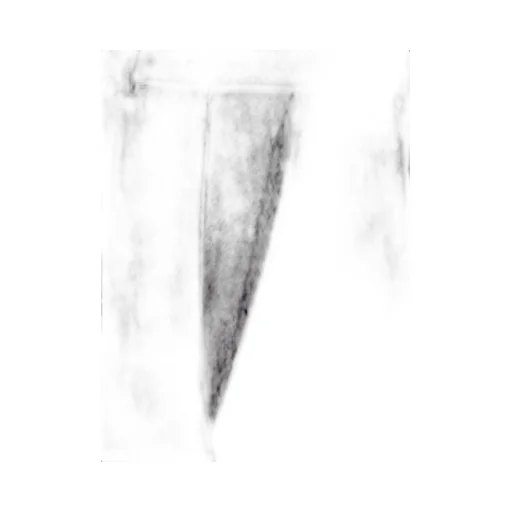 Wide-Leg Trousers