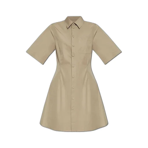 Shirt Dress