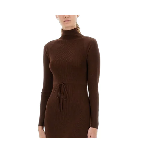Ribbed Turtleneck Dress