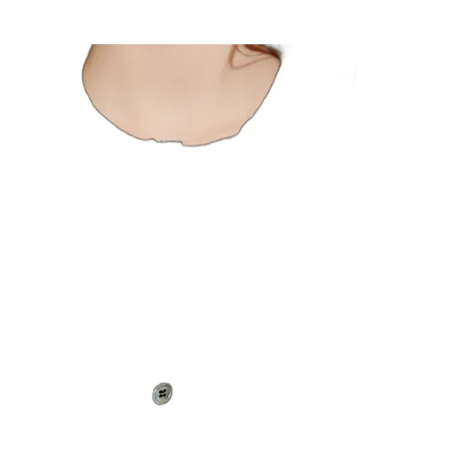 Polo Dress