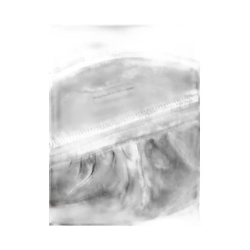 Clutch Bag