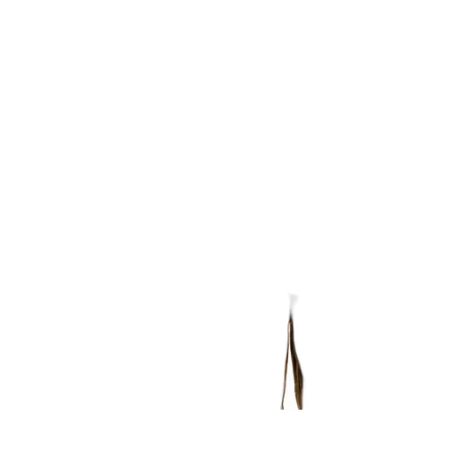 Wide-Leg Corduroy Trousers