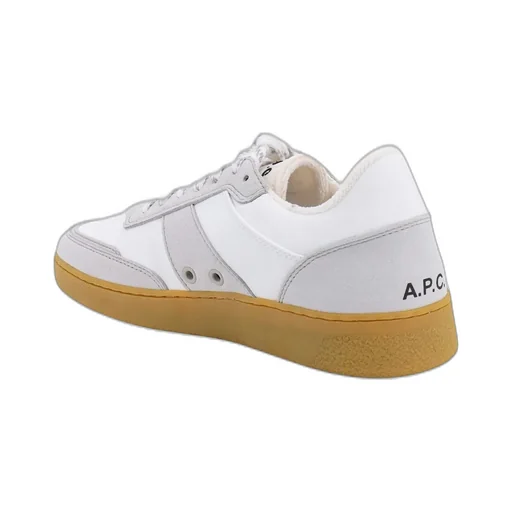 Low Top Sneakers