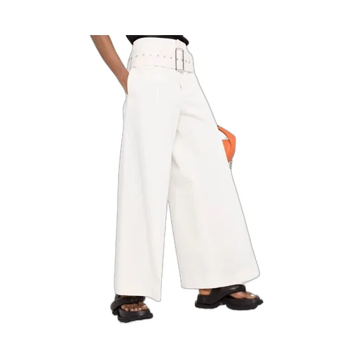 Belted Wide-Leg Trousers