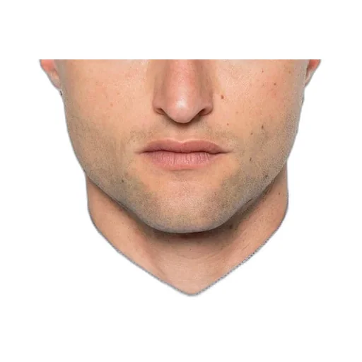 Micro-Patterned Dress Shirt