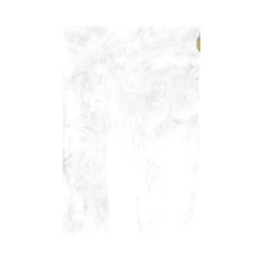 Baroque Print Hooded Jacket