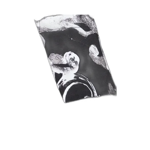 Graphic Print T-Shirt