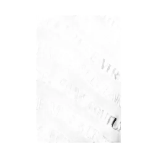 Logo Print T-Shirt