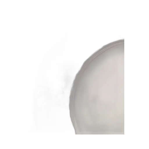 Dinner Plate