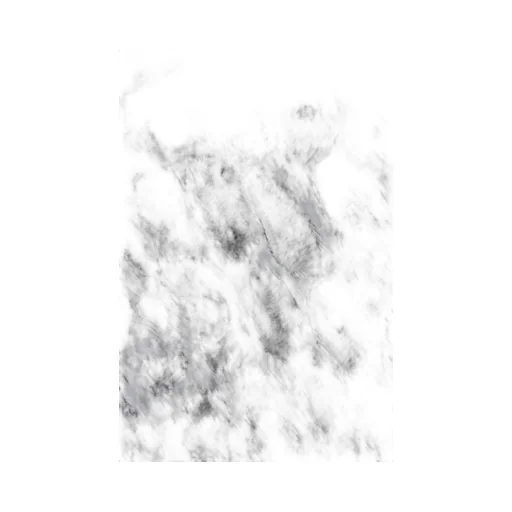 Leopard Print Tank Top