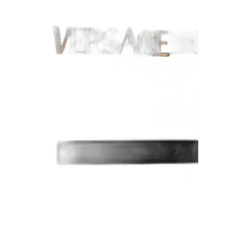 Logo Belt