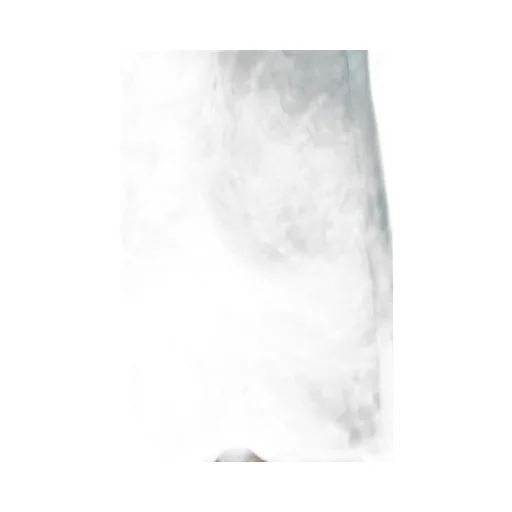 Baroque Print Silk Shorts