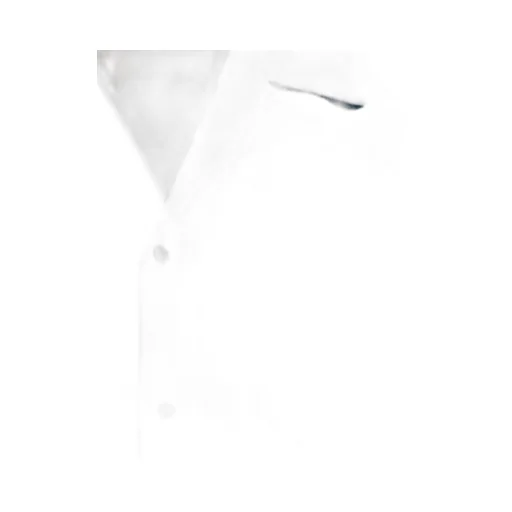 Barocco Print Short Sleeve Shirt
