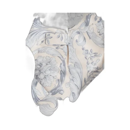 Baroque Print Dog Coat