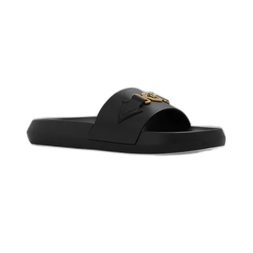 Slides