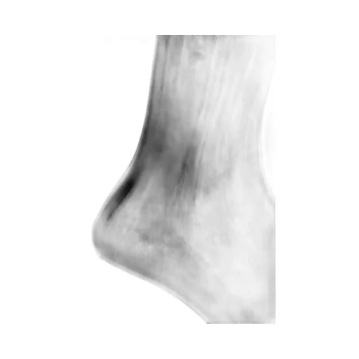 Ribbed Socks