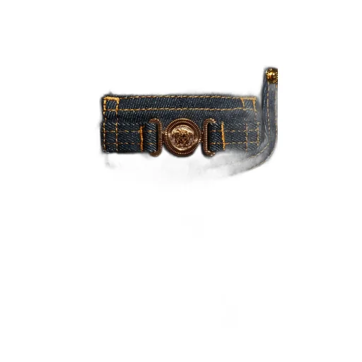 Medusa Head Jeans