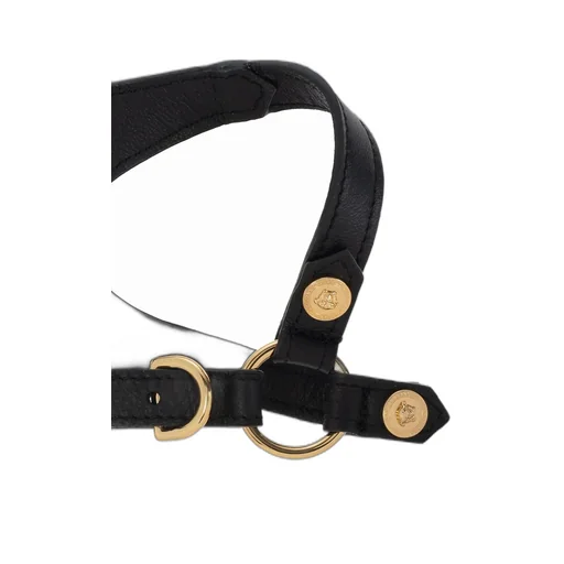 Dog Harness