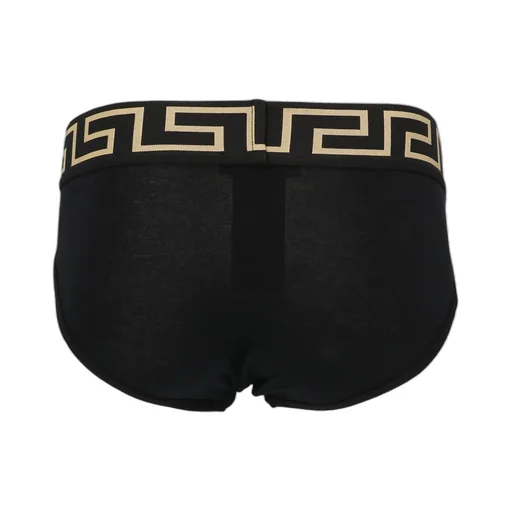 Medusa Amplified Briefs
