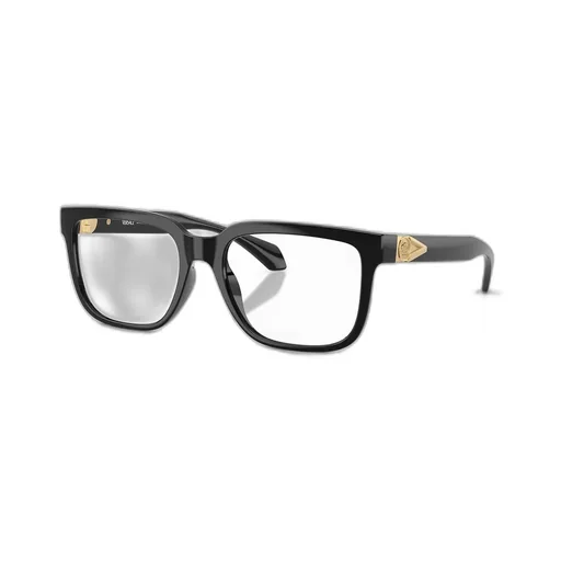 Rectangular Eyeglasses