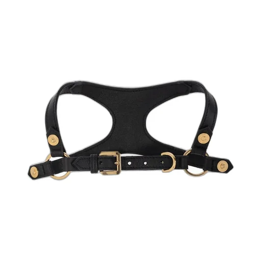 Dog Harness