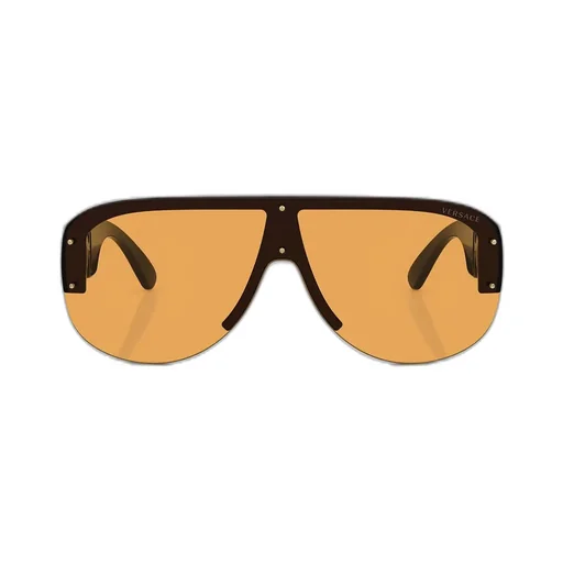 Shield Sunglasses