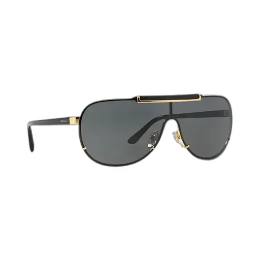 Shield Sunglasses