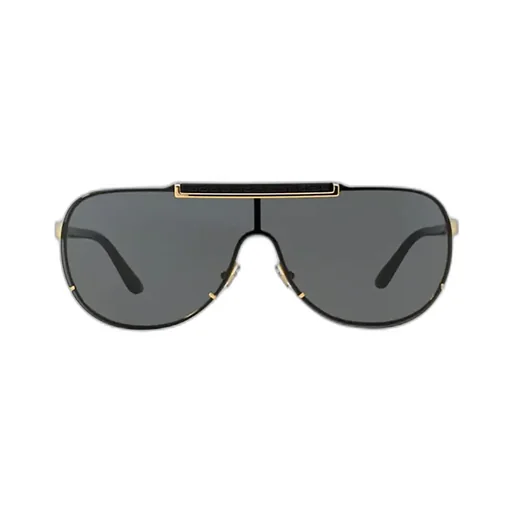 Shield Sunglasses