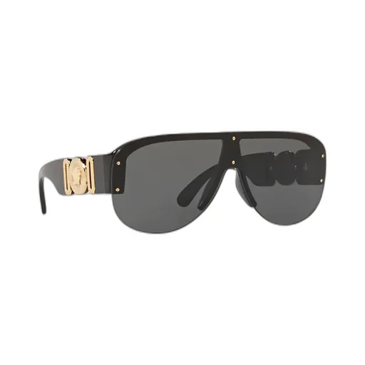 Shield Sunglasses