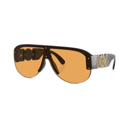 Shield Sunglasses