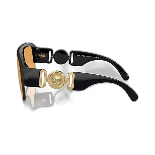 Shield Sunglasses