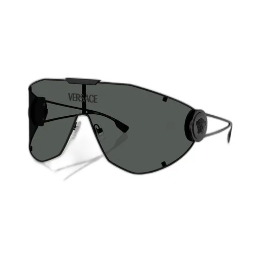 Shield Sunglasses