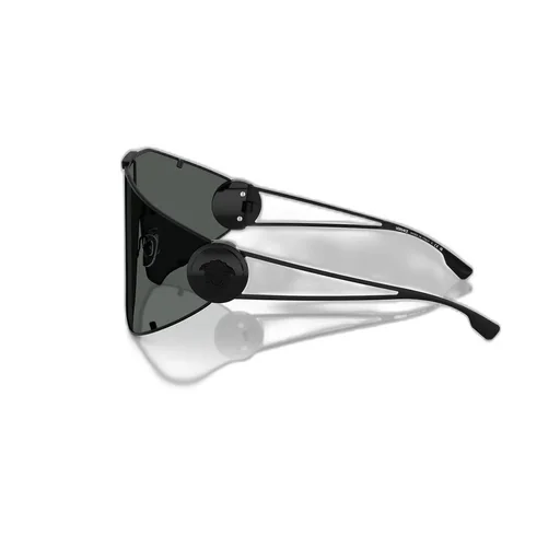 Shield Sunglasses