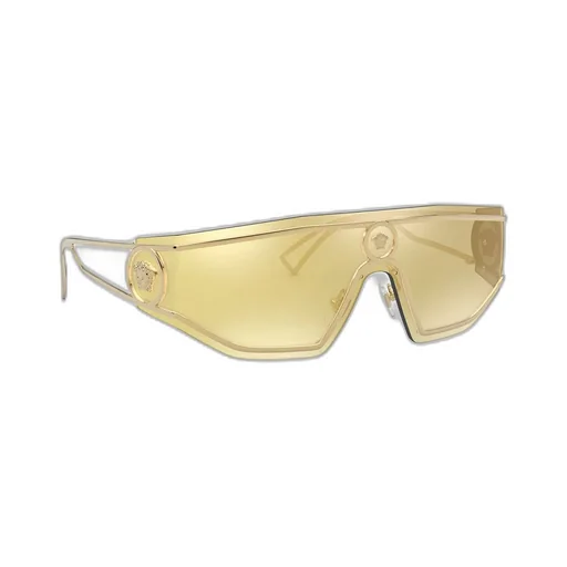 Shield Sunglasses