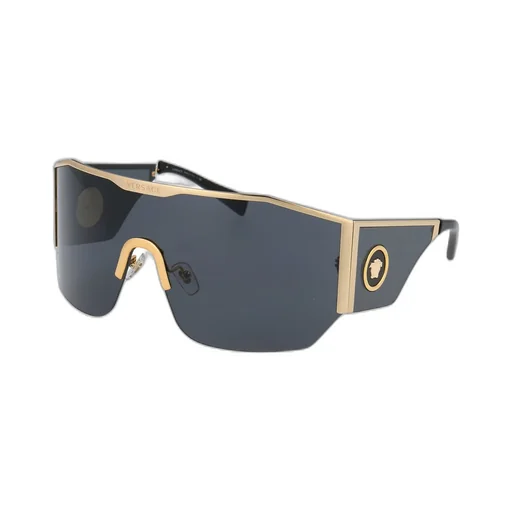 Shield Sunglasses