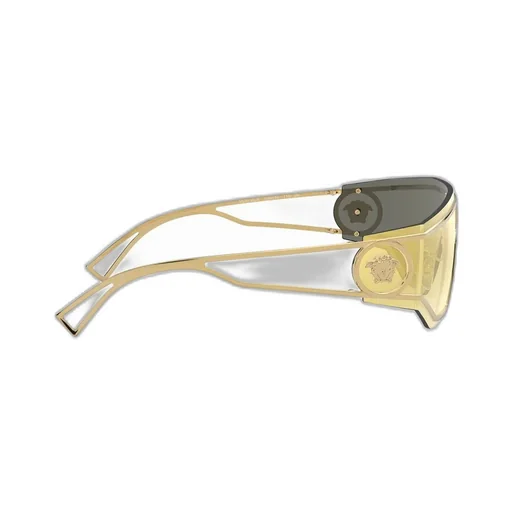 Shield Sunglasses