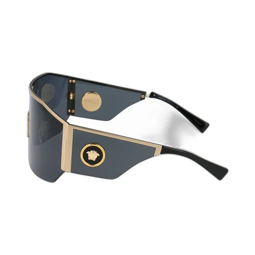 Shield Sunglasses