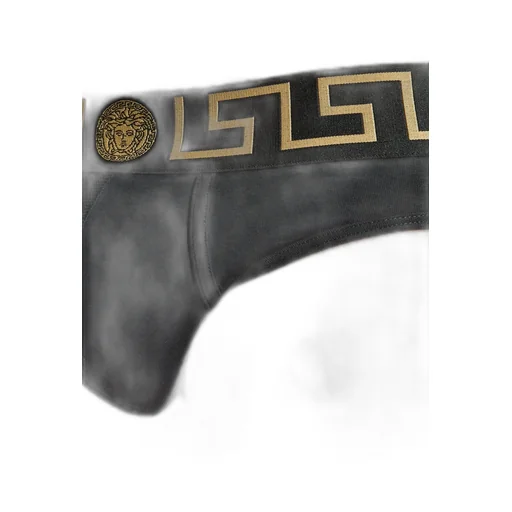 Medusa Amplified Briefs
